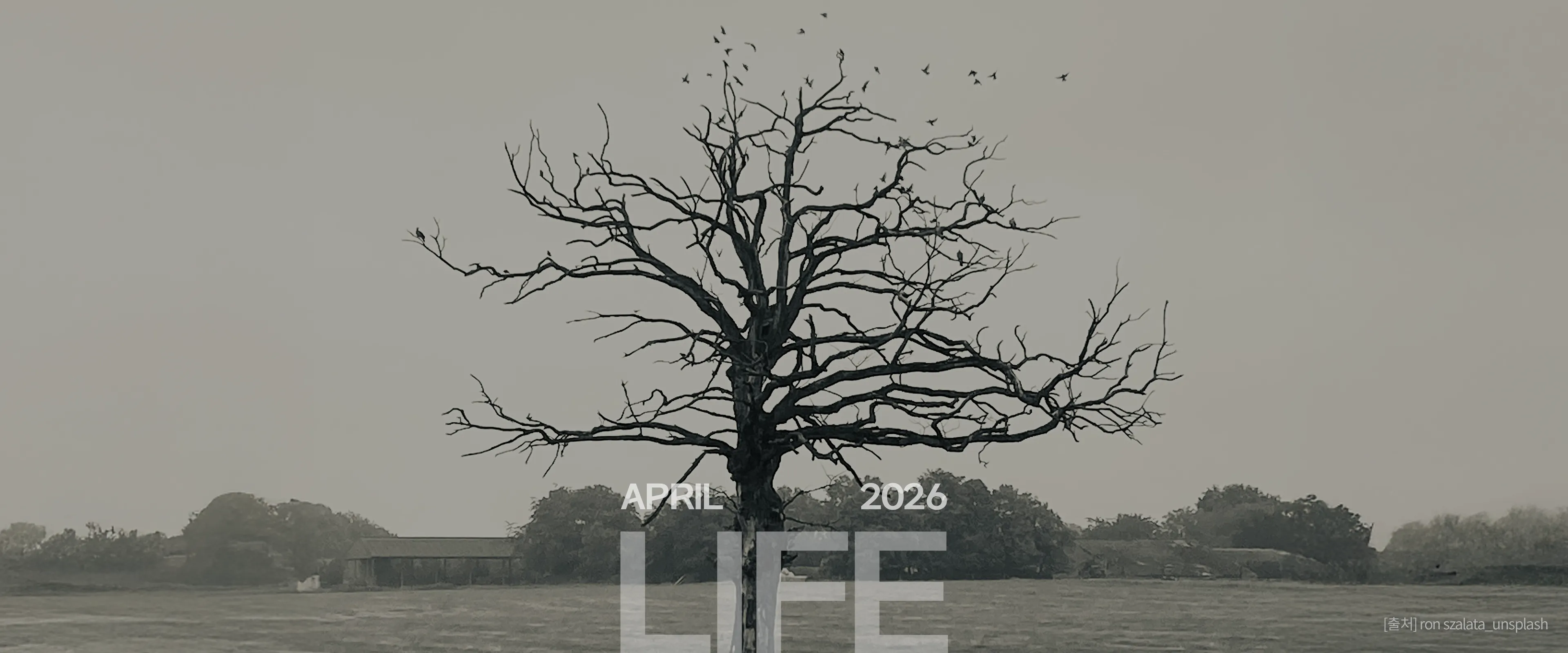 25호 LIFE #2
